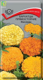 Бархатцы Максимикс прямостоячие (Поиск) - Сезон у Дачи