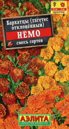 Бархатцы Немо смесь (Аэлита) - Сезон у Дачи
