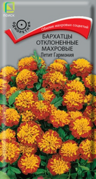 Бархатцы Петит Гармония отклоненные (Поиск) - Сезон у Дачи