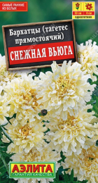Бархатцы Снежная вьюга (Аэлита) - Сезон у Дачи