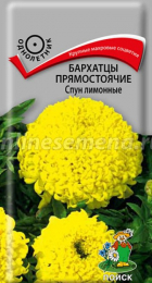 Бархатцы Спун Лимонные прямостоячие (Поиск) - Сезон у Дачи