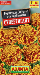 Бархатцы Супергигант (Аэлита) - Сезон у Дачи