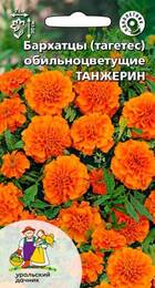 Бархатцы (тагетис) Танжерин (УД) - Сезон у Дачи