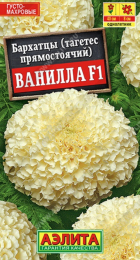 Бархатцы Ванилла F1 прямостоячие (Аэлита) - Сезон у Дачи