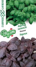 Базилик Карлик 0,15г+Карлик зеленый 0,15г серия Дуэт (Гавриш) - Сезон у Дачи