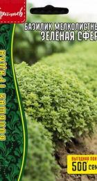 Базилик Зелёная Сфера мелколистный (Григорьев) - Сезон у Дачи