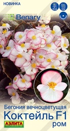 Бегония вечноцветущая Коктейль F1 ром (Аэлита) - Сезон у Дачи