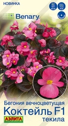 Бегония вечноцветущая Коктейль F1 текила (Аэлита) - Сезон у Дачи