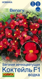 Бегония вечноцветущая Коктейль F1 водка (Аэлита) - Сезон у Дачи