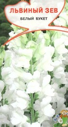Львиный зев Белый букет - Сезон у Дачи