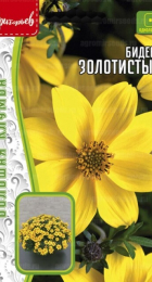 Биденс Золотистый - Сезон у Дачи