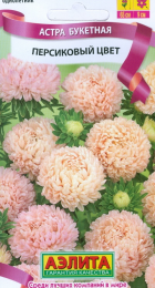 Астра Букетная персиковый цвет - Сезон у Дачи