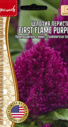 Целозия First Flame Purple перистая (Григорьев) - Сезон у Дачи