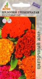 Целозия гребенчатая Коралловый сад (Агрос) - Сезон у Дачи