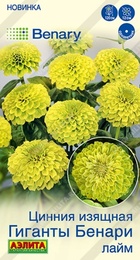 Цинния Гиганты Бенари лайм (Аэлита) - Сезон у Дачи