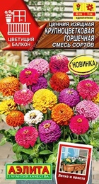 Цинния Крупноцветковая Горшечная смесь 12шт (Аэлита) - Сезон у Дачи