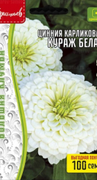 Цинния Кураж Белая карликовая (H.Courage White) (Григорьев) - Сезон у Дачи