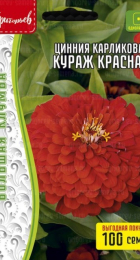 Цинния Кураж Красная карликовая (H.Courage Red) (Григорьев) - Сезон у Дачи