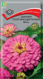 Цинния Мечта (Поиск) - Сезон у Дачи