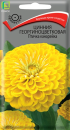 Цинния Птичка Канарейка (Поиск) - Сезон у Дачи