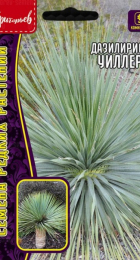 Дазилирион Уиллера (Григорьев) - Сезон у Дачи