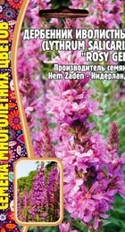 Дербенник Rosy Gem иволистный - Сезон у Дачи