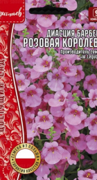 Диасция Розовая Королева Барбера /W.Legutko (Григорьев) - Сезон у Дачи