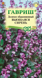 Долихос Гиацинтовые бобы Вьющаяся сирень (Гавриш) - Сезон у Дачи