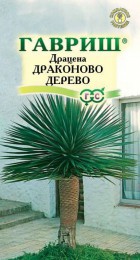 Драцена Драконово Дерево - Сезон у Дачи