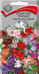 Душистый горошек Спенсер Смесь окрасок (Поиск) - Сезон у Дачи