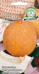 Дыня Сладкий ананас F1 (СеДеК) - Сезон у Дачи