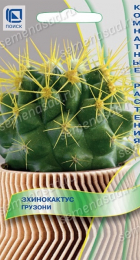 Эхинокактус Грузони (Поиск) - Сезон у Дачи