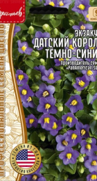 Экзакум Датский Король Тёмно-Синий (Royal Dane Deep Blue) (Григорьев) - Сезон у Дачи