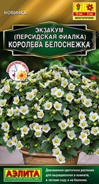 Экзакум Королева белоснежка (Аэлита) - Сезон у Дачи
