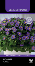 Экзакум Ромео /Семена Профи (Поиск) - Сезон у Дачи