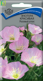Энотера Розовый атлас (Поиск) - Сезон у Дачи