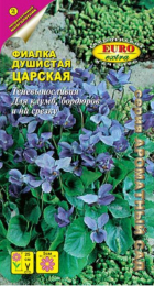Фиалка Царская (Аэлита Экстра) - Сезон у Дачи