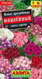 Флокс друммонда Юбилейный смесь (Аэлита) - Сезон у Дачи