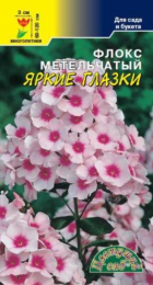 Флокс Яркие глазки метельчатый (ЦС) - Сезон у Дачи
