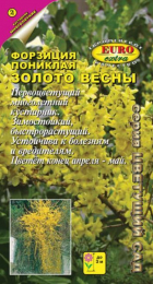 Форзиция Золото весны (Аэлита Экстра) - Сезон у Дачи