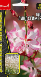 Гаура Линдхеймера (ИП Григорьев) - Сезон у Дачи