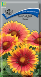 Гайлардия Яшма (Пиоск) - Сезон у Дачи