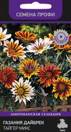 Газания Дайбрек Тайгер Микс /семена Профи (Поиск) - Сезон у Дачи