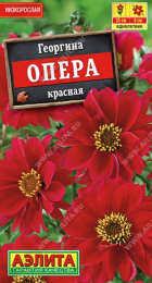 Георгина Опера красная (Аэлита) - Сезон у Дачи