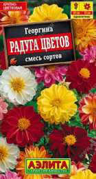 Георгина Радуга цветов смесь (Аэлита) - Сезон у Дачи