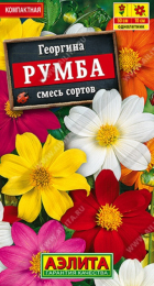 Георгина Румба смесь (Аэлита) - Сезон у Дачи