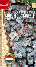 Гейхера Marvelous Marble Silver F1 (Григорьев) - Сезон у Дачи