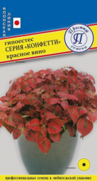 Гипоестес Конфетти Красное вино (Престиж) - Сезон у Дачи