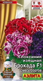 Глоксиния Брокада F1 смесь /Sakata (Аэлита) - Сезон у Дачи