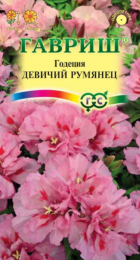 Годеция Девичий румянец (Гавриш) - Сезон у Дачи